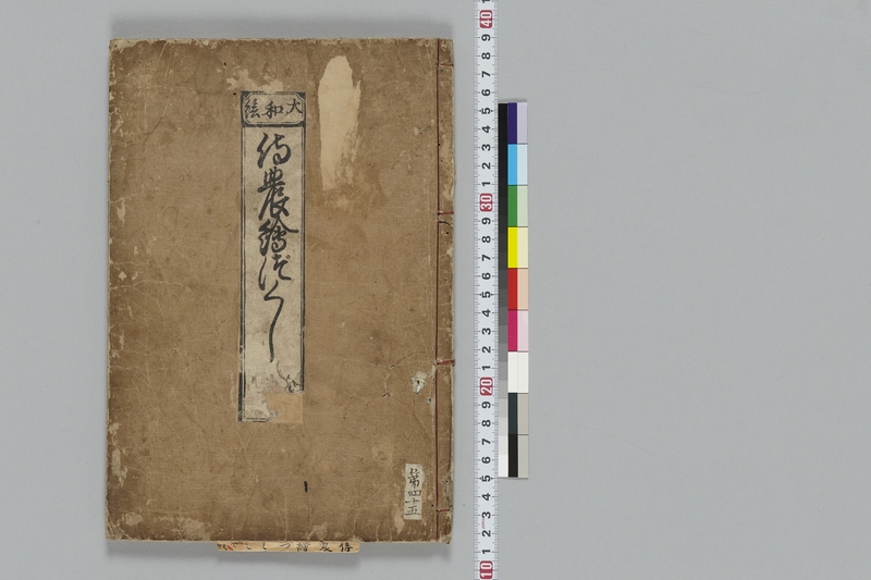 師宣祐信絵本書誌 師宣祐信絵本書誌(松平進 著) ⁄ 光国家書店 ⁄ 古本、中古本、古書籍の